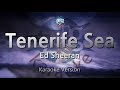 Ed Sheeran-Tenerife Sea (Karaoke Version)