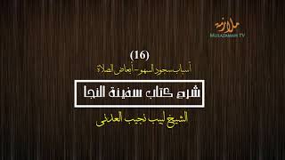 صورة شرح كتاب سفينة النجا (فقه الشافعي) - [16/23] - (أسباب سجود السهو - أبعاض الصلاة) | الشيخ لبيب نجيب
