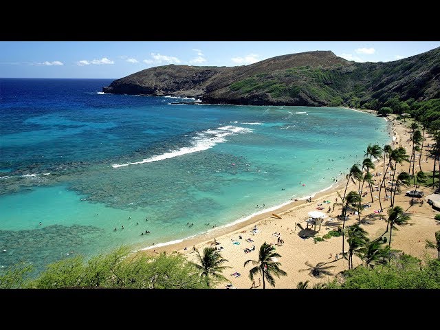 Oahu - Hanauma Bay Snorkeling Adventure Half-Day Tour