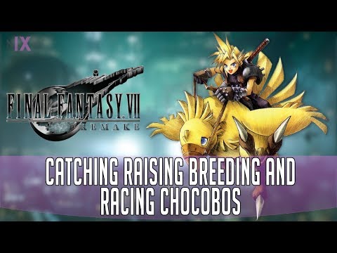 Final Fantasy 7 Remake Catching Raising Breeding And Racing Chocobos