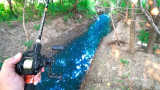 Fishing TINY HIDDEN Creek!!! (Found BIG Bass)