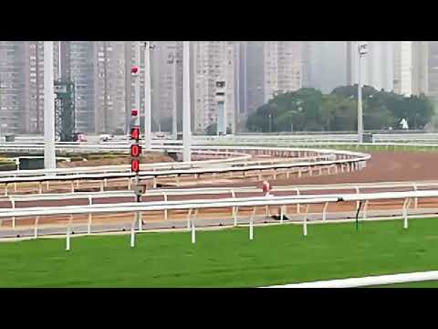 1/1/2022  觔斗雲   班德禮   好運一月一賽馬日