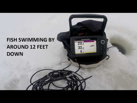 Frosted Tips Ep. 1 (Spotting Fish on 2D Sonar for Beginners)