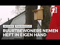 Walhofstraat pakt eikenprocessierups aan