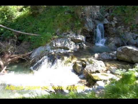 Cazare Rachis, Alba - Cazat.ro