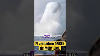 Mocha Dick, el cachalote blanco chileno que dió origen a Moby Dick ￼