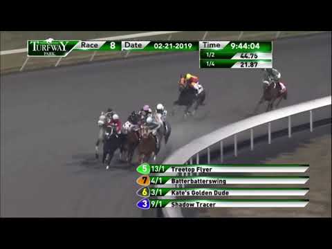Kate's Golden Dude Runs Third at Turfway Park - February 21, 2019