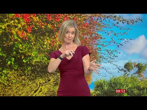 Sarah Keith-Lucas - Breakfast Weather 12Sep2025