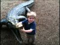 RIP Steve Irwin By Jorenzo Featuring Drew Best Of The Crocodile Hunter