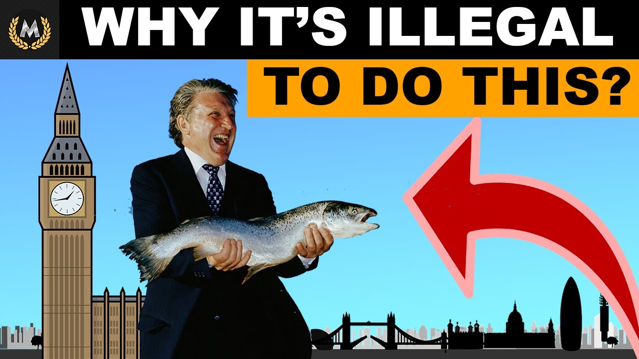 Why IS ILLEGAL to handle a Salmon Suspiciously in Great Britain?