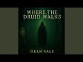 Where the Druid Walks