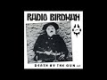 Radio Birdman - Death By The Gun (1978)