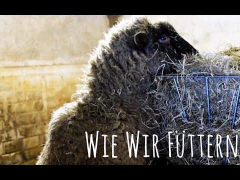 , title : 'Wie wir füttern'