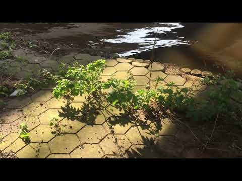 upsammy - Subsoil (Official Video)