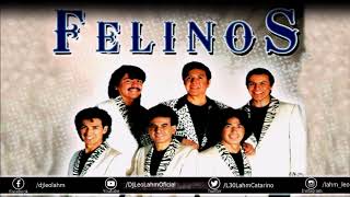 Los Felinos Sus Mejores Éxitos Del Recuerdo