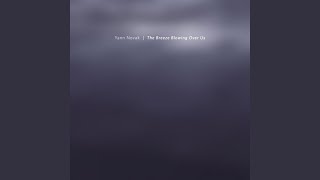 The Breeze Blowing Over Us