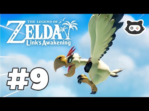 The Legend of Zelda: Links Awakening - Gameplay Walkthrough (PART 9: SIDE QUESTS & EAGLE TOWER)