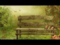 Peaceful Music, Relaxing Music, Instrumental Music  Summer Wind  by Tim Janis