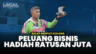 Balap Merpati Kolong, Lomba Unik dengan Hadiah Ratusan Juta dan Peluang Bisnis Menjanjikan