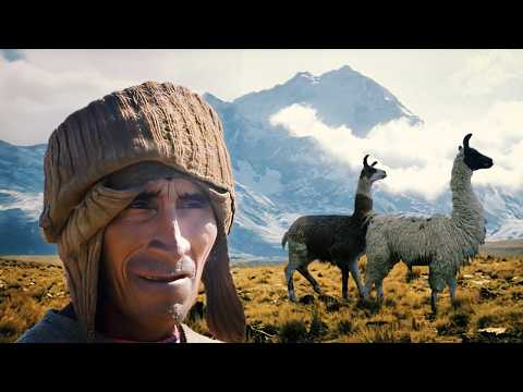 El Viaje Épico de un Llamero en el Desierto