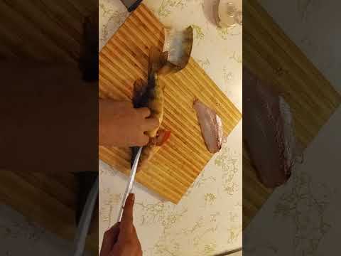 How We Fillet Yellow Perch