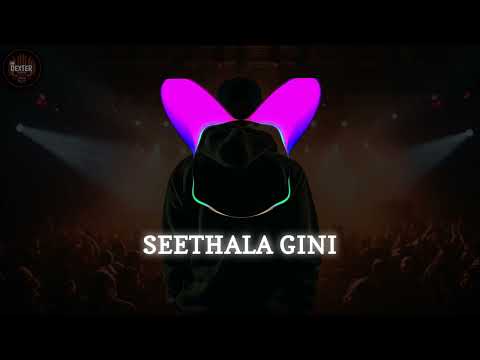 Sithala Gini Reverb | @Zany Inzane | Dexter Music