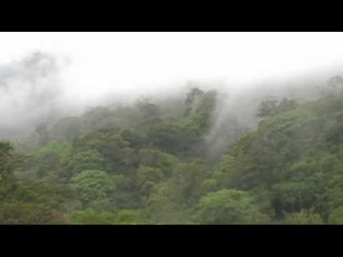 Rancho Flores Humano