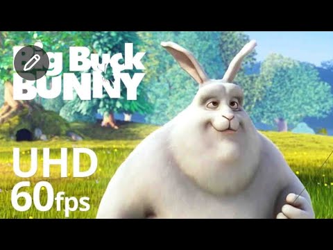 Big Buck Bunny 60fps 4k - Official Blender Foundation Short Film
