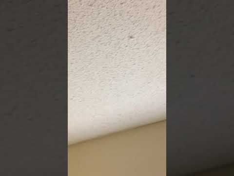 Americas Best Value Inn Helen,GA