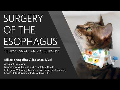 Lecture 6.1 Surgery of the Esophagus