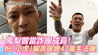 [問卦] 鳳梨 (吳泓逸) 47萬還阿嬤了嗎?