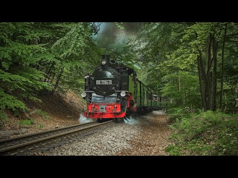 Hauptsaison beim Rasenden Roland (2023) //Rügensche Bäderbahn//RüBB//Insel Rügen//Schmalspurbahn