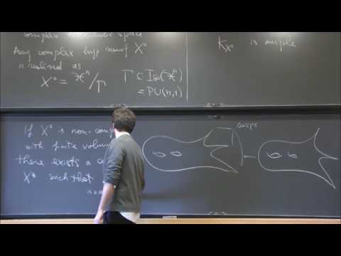 Birational geometry of complex hyperbolic manifolds - Gabriele di Cerbo