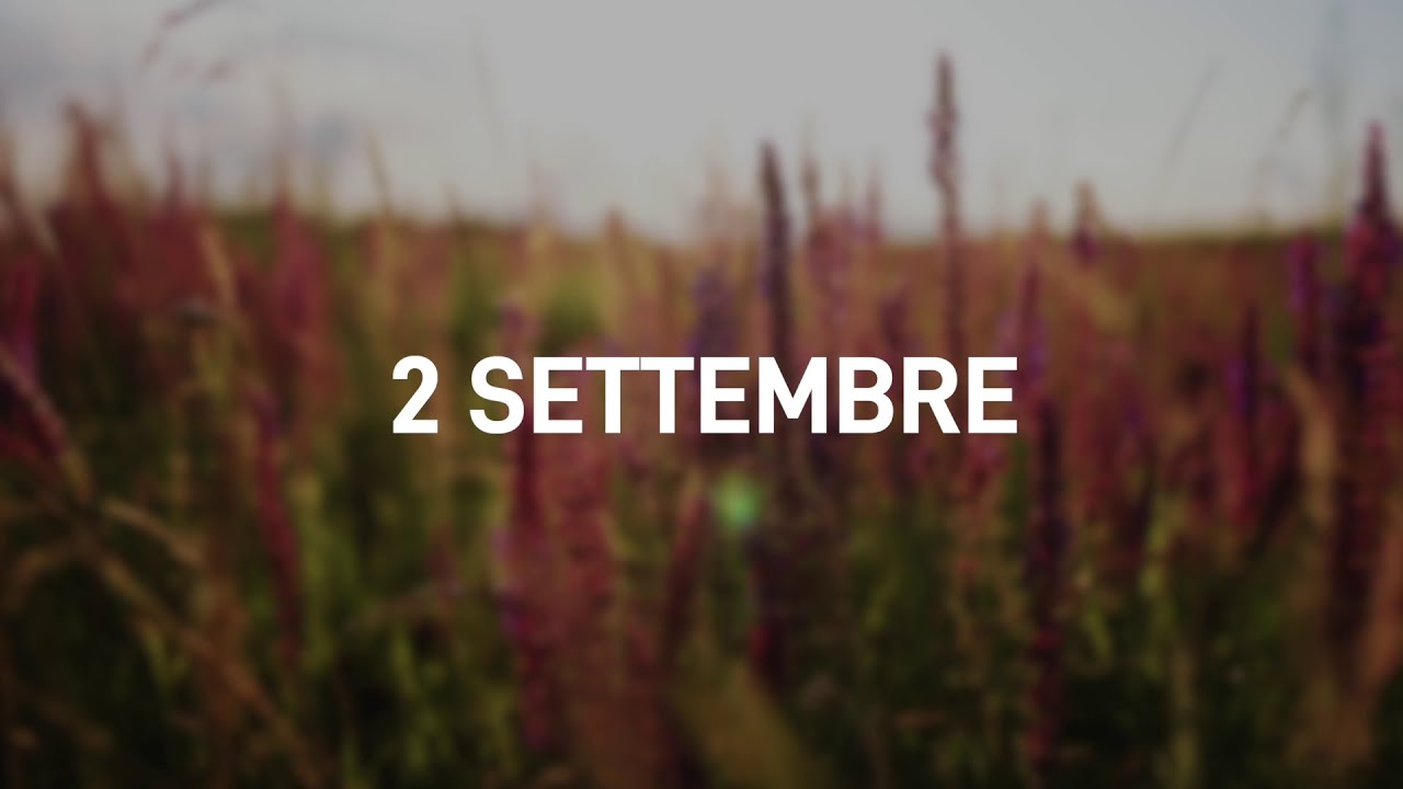 2 Settembre 2025 | Meditazione Parole di Vita