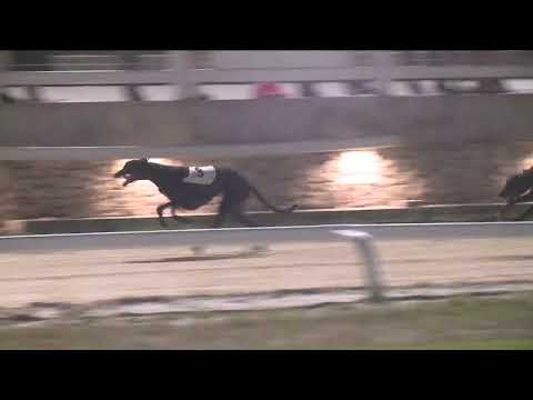 2022.07.01. 08. futam - Kategória Sprint Döntő