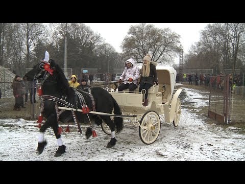 download lagu mp3 mp4 Boboteaza, download lagu Boboteaza gratis, unduh video klip Download Boboteaza Mp3 dan Mp4 Unlimited Gratis