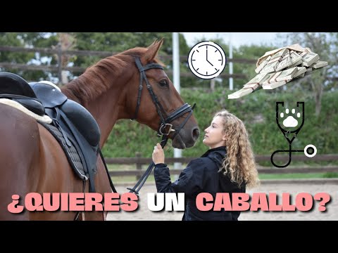 ¿Qué cuesta tener un caballo?