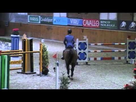 SIR OTTO - S - 1999 Ned. BURGGRAAF x FARN (F. Bologni)