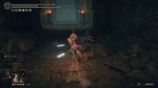 ELDEN RING:DLC#17