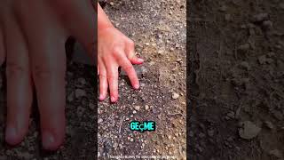 Bu Çocuklarda Dedektör Gibiler 😂