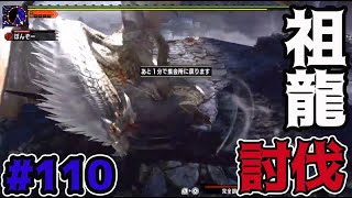 【MHXX】約10時間向き合ってようやくミラルーツ倒せました。。”ソロ攻略#110【モンハンダブルクロス】