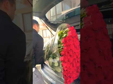 Beautiful Red Rose flowers vedio ##short video