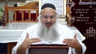 פרשת כי תצא הרב שלמה לוינשטיין שליט"א