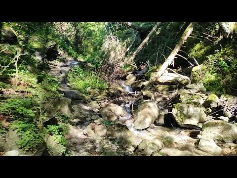 GURA DIHAM SPRE OCOLUL SILVIC CABANA VANATORILOR BUCEGI