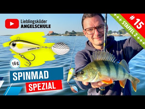 Gezielt auf große BARSCHE – 16g SpinMad Jigmaster 🔥🎣🦦