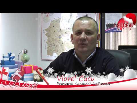 Viorel Cucu   Primarul Comunei Adancata