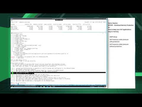 SUSECON 2021 - Demo 1045 - Workload memory protection: How to keep your SAP Applications in memory