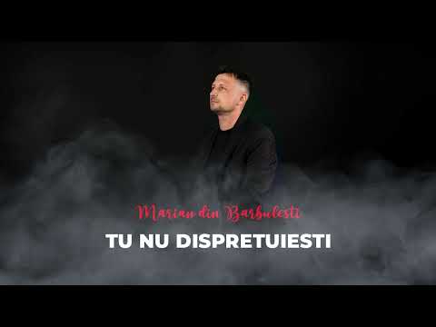 Marian din Barbulesti - Tu nu dispretuiesti