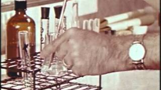 Few Too Many (ca. 1961)