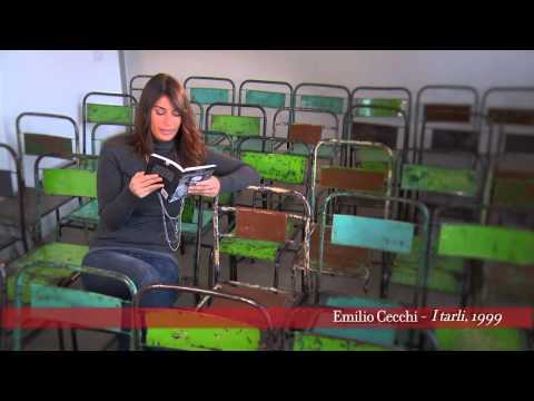 Parlando di Barbanera - Emilio Cecchi - I tarli, 1999